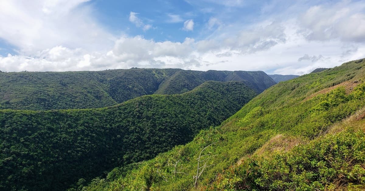 The Seduction of Knowing Better